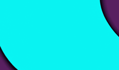 Übersetzungsdienste für Rechtsdokumente: Was Lebensmittelunternehmen in den Niederlanden beachten sollten